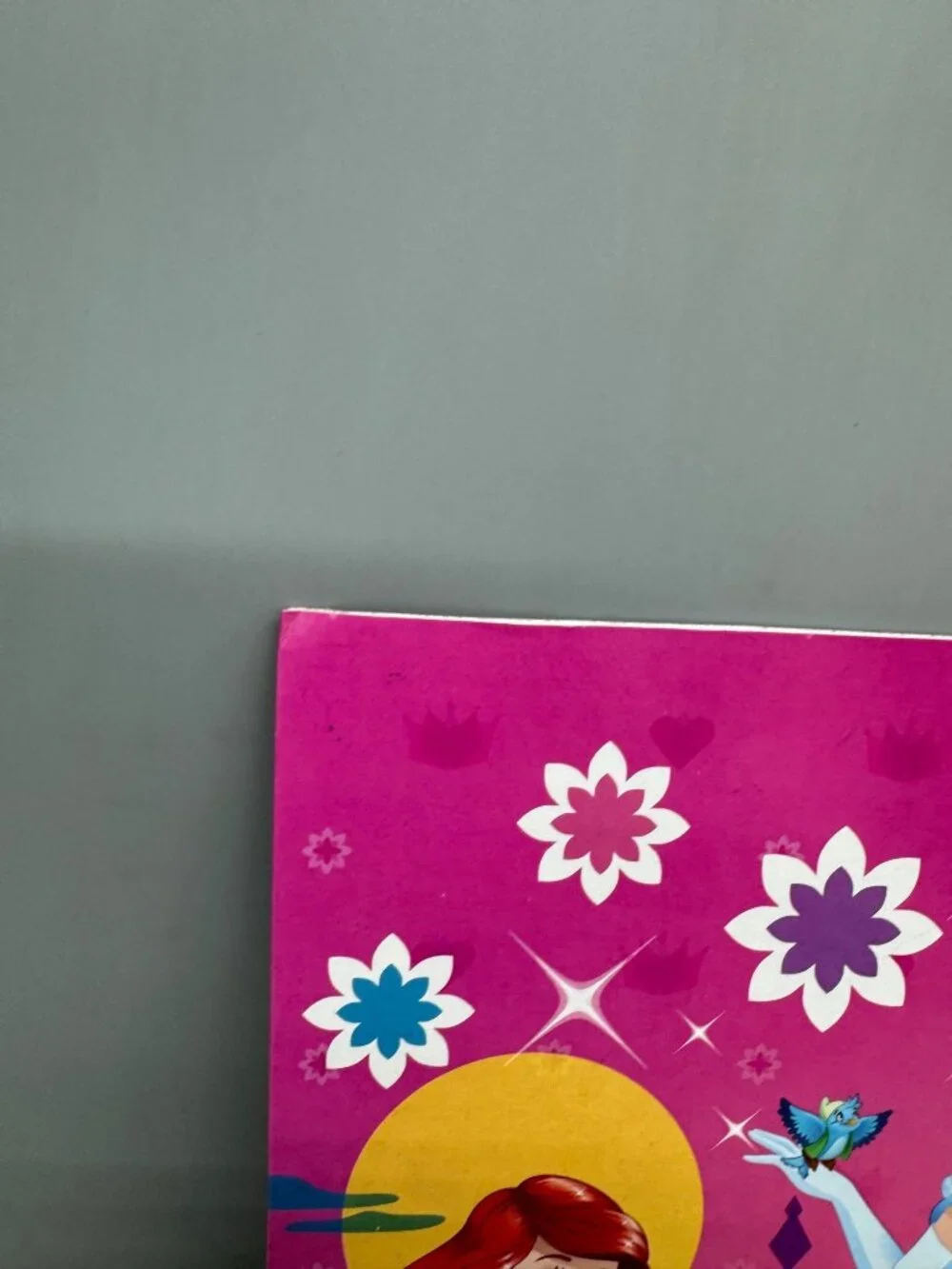 Disney Princess Adventure Begins Here Pink School Folder READ
